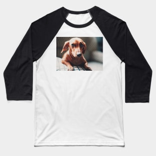 A Beautiful Dog Baseball T-Shirt